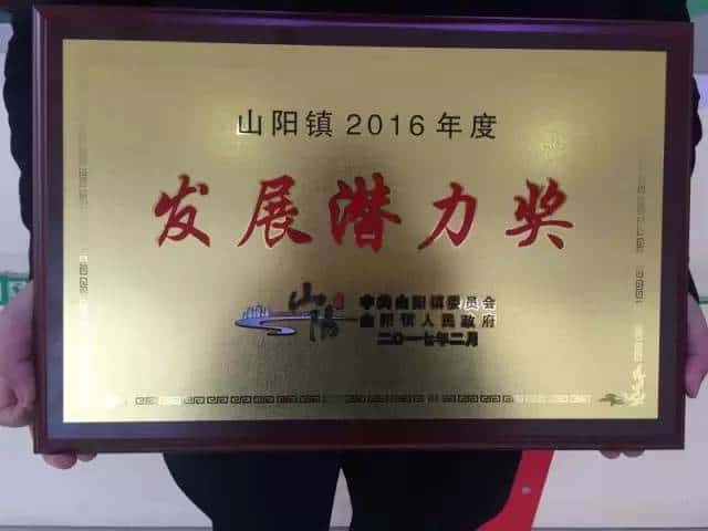2016年度發(fā)展?jié)摿Κ?jiǎng)